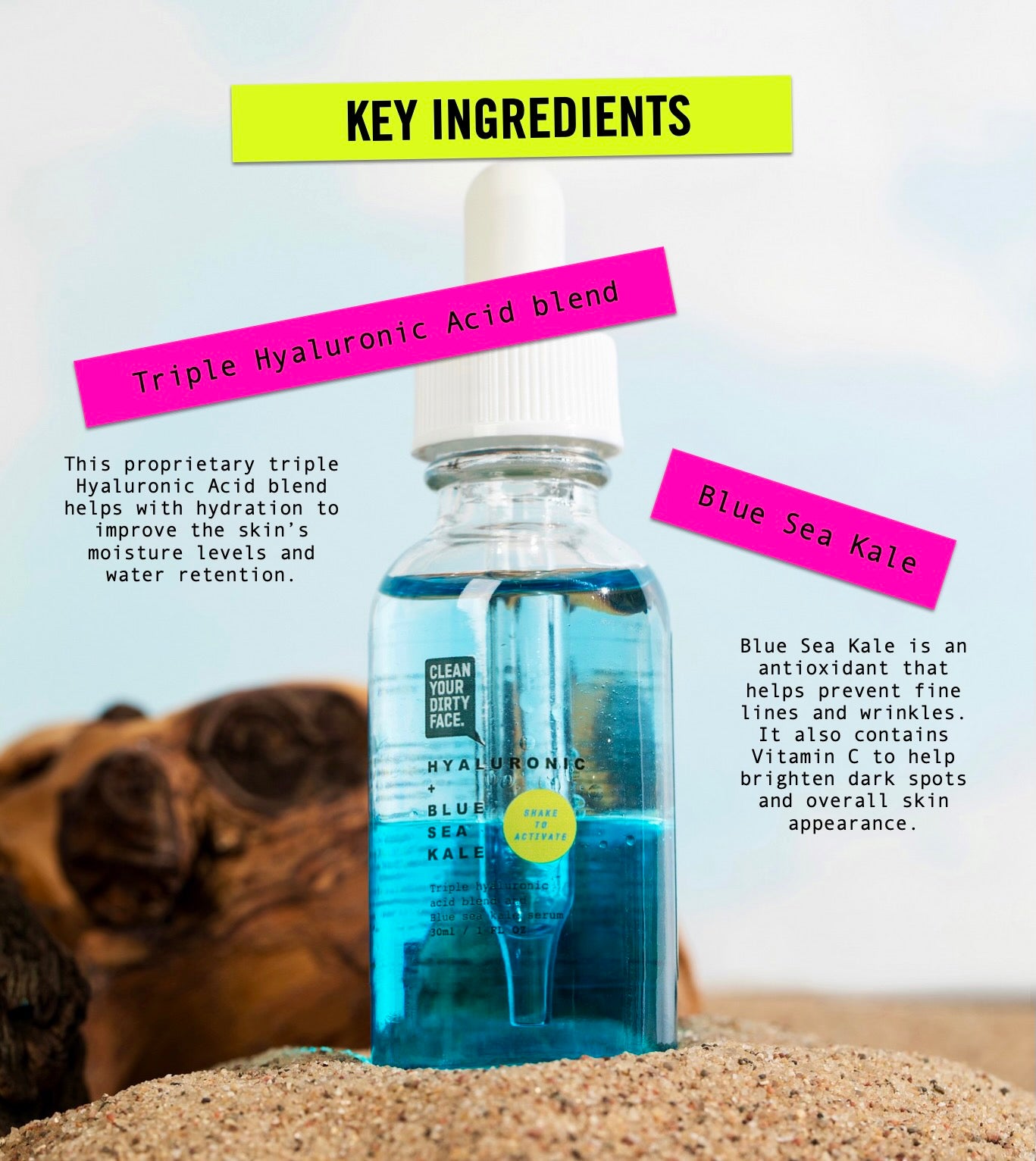 Hyaluronic + Blue Sea Kale Serum